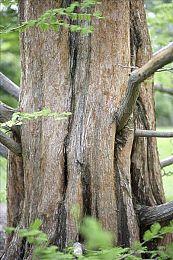 《魔咒之地》全新实机视频介绍魔法战斗机制